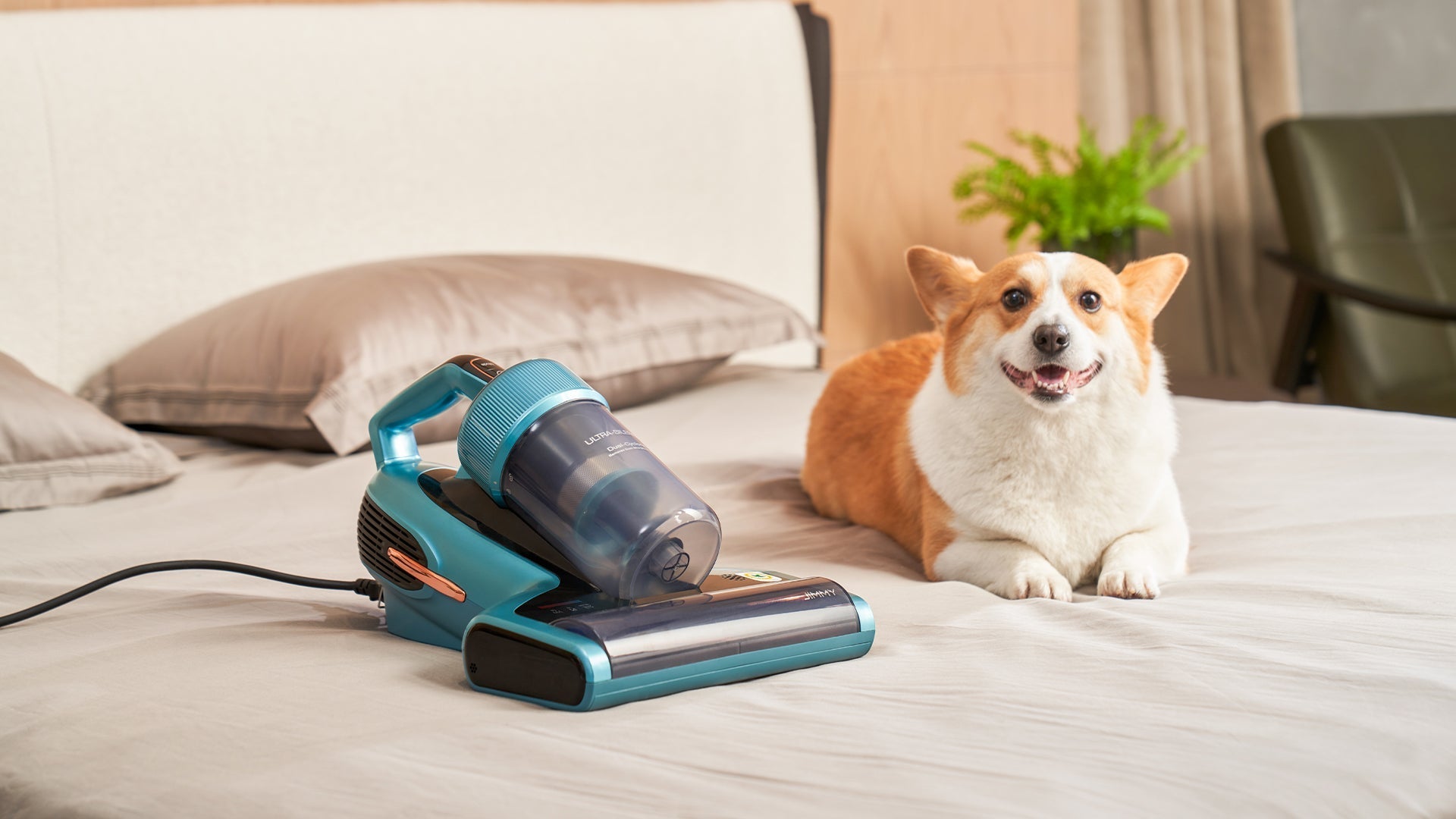 Why Do You Need a Bed Vacuum Cleaner?